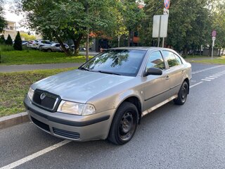 2007 Skoda Octavia I (A4) Рестайлинг, серый, 300000 рублей, вид 1