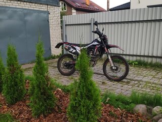 Regulmoto CR-Z 300