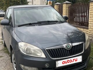 2010 Skoda Fabia II Рестайлинг, серый, 470000 рублей, вид 1