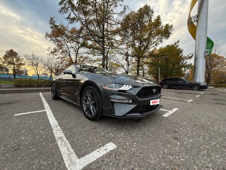 2018 Ford Mustang VI Рестайлинг, серый, 2600000 рублей, вид 5