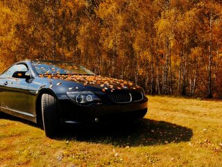 2005 BMW 6 серии 645i II (E63/E64), чёрный, 1300000 рублей, вид 4
