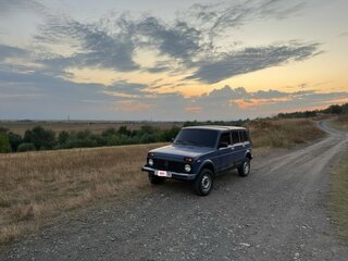 2001 Lada (ВАЗ) 2131 (4x4) I, синий, 170000 рублей, вид 3