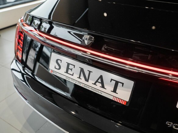 2026 Senat 900, чёрный, 12000000 рублей - вид 12