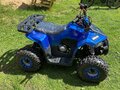2021 Yacota Raposa, синий, 69000 рублей - вид 2