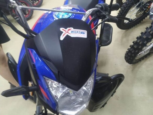 2026 Promax ALPHA RS 13, синий, 100000 рублей - вид 2
