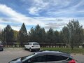 2014 Ford Focus III, чёрный, 700000 рублей - вид 7