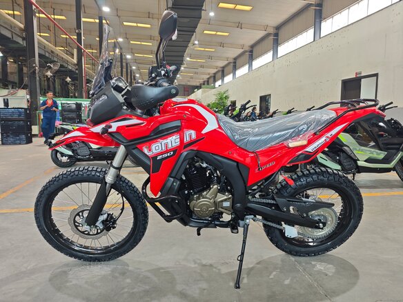 2026 Loncin DS250, пурпурный, 258000 рублей - вид 5