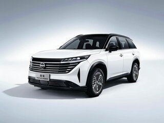 Nissan Pathfinder V (China Market)
