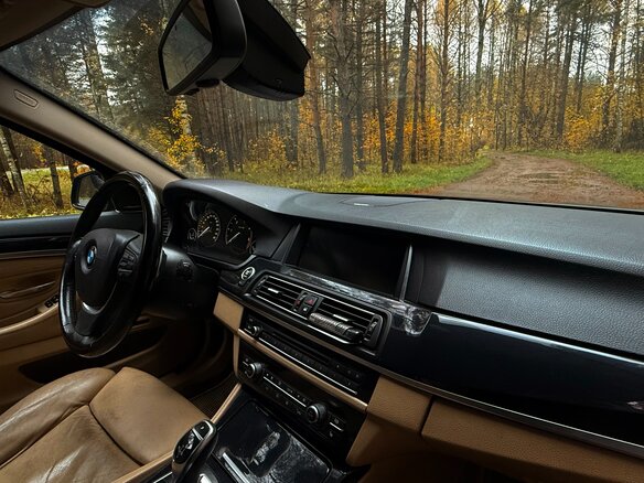 2011 BMW 5 серии 520d VI (F10/F11/F07), серый, 1820000 рублей - вид 19