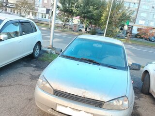 2007 Lada (ВАЗ) Kalina I, серебристый, 170000 рублей, вид 2
