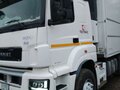 2019 КамАЗ 5490, белый, 1600000 рублей - вид 1