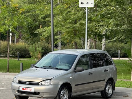 2008 Lada (ВАЗ) Kalina I, серый, 175000 рублей, вид 1