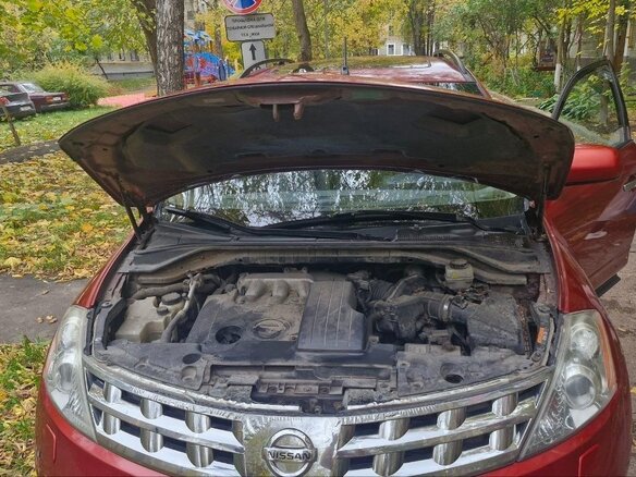 2008 Nissan Murano I (Z50), красный - вид 14