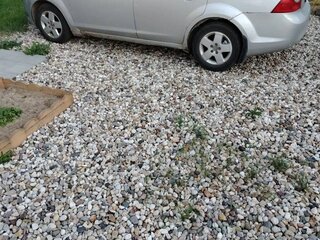 2008 Ford Focus II Рестайлинг, серебристый, 360000 рублей, вид 3