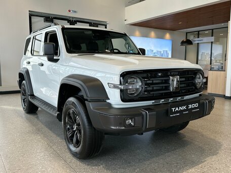Tank 300 I