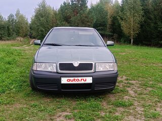 2001 Skoda Octavia I (A4) Рестайлинг, зелёный, 250000 рублей, вид 1