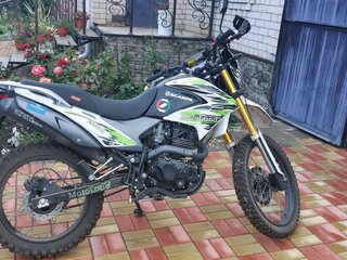 2021 Motoland Enduro 250, зелёный, 130000 рублей, вид 1