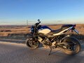2017 Suzuki SV 650, синий, 550000 рублей