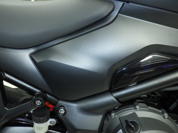 2026 Triumph Trident 660, серый, 1050000 рублей - вид 19