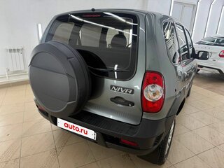2010 Chevrolet Niva I Рестайлинг, серый, 535000 рублей, вид 5
