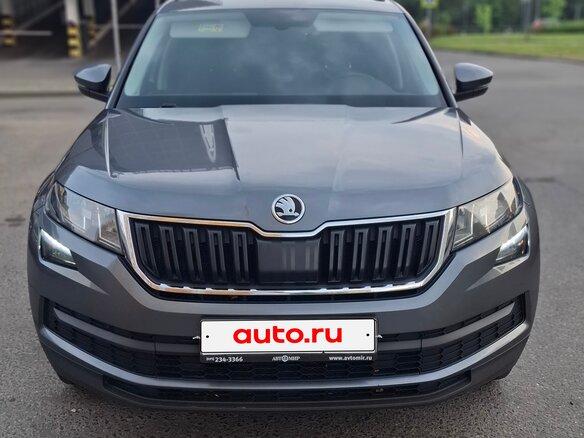 2019 Skoda Kodiaq I, серый