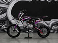 2026 Sharmax Powermax, фиолетовый, 119900 рублей - вид 4