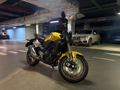 2023 Honda CB 300R, жёлтый, 450000 рублей, вид 4
