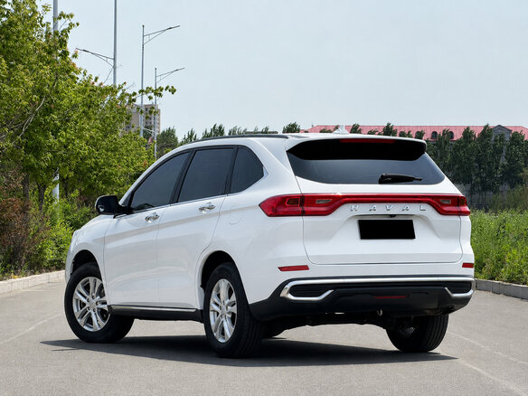 2021 Haval M6 Plus II, белый - вид 6