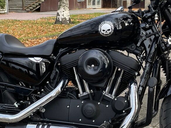 2020 Harley-Davidson Sportster 1200, чёрный, 1200000 рублей - вид 3