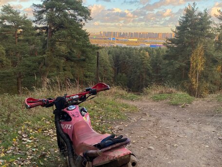 2014 Irbis TTR 250, розовый, 60000 рублей, вид 2