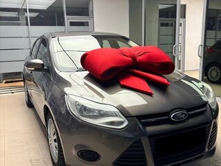 2012 Ford Focus III, серый, 525000 рублей, вид 2