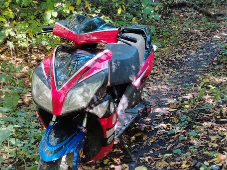 2012 Irbis RZR, красный, 30000 рублей, вид 3