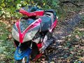 2012 Irbis RZR, красный, 30000 рублей - вид 2