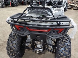 2026 Другие ATV (другие), чёрный, 310000 рублей, вид 3