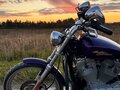2007 Harley-Davidson Sportster 883, фиолетовый, 550000 рублей - вид 2