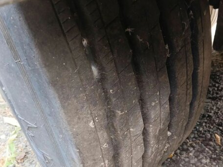 2003 Freightliner Columbia, белый, 1000000 рублей, вид 4