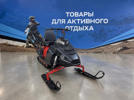 2026 Другие Снегоходы (другие), чёрный, 208100 рублей, вид 2