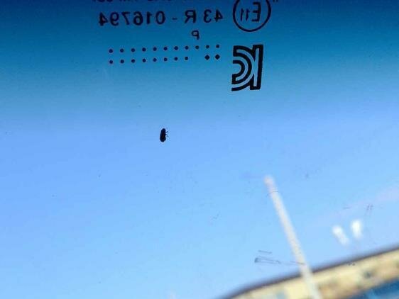 2021 ГАЗ ГАЗель NN, белый, 1370000 рублей - вид 3