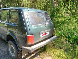 2003 Lada (ВАЗ) 2131 (4x4) I, зелёный, 160000 рублей, вид 4