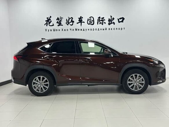 2020 Lexus NX 200 I Рестайлинг, коричневый - вид 3
