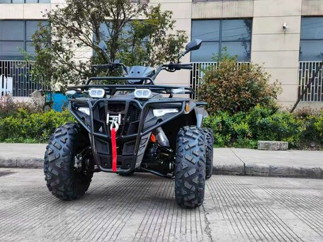 2026 Другие ATV (другие), чёрный, 399000 рублей, вид 2
