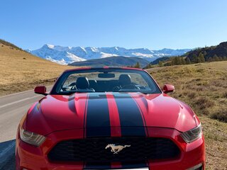 2016 Ford Mustang VI, красный, 2390000 рублей, вид 2