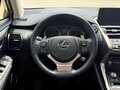 2021 Lexus NX 200 I Рестайлинг, белый - вид 10