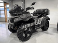 2022 CFMoto CFORCE 600 Advanced EPS, коричневый, 850000 рублей - вид 1