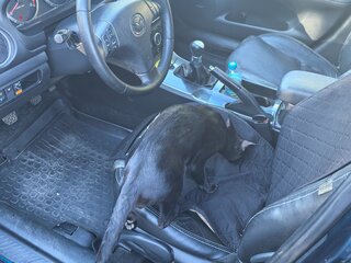 2007 Mazda 6 I (GG) Рестайлинг, синий, 405000 рублей, вид 3