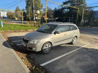 2008 Skoda Fabia II, серый, 245000 рублей, вид 2