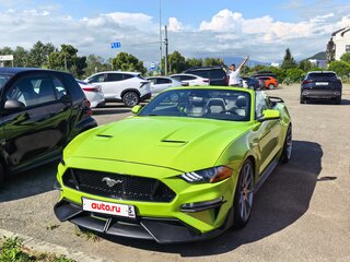 2019 Ford Mustang VI Рестайлинг, зелёный, 3000000 рублей, вид 1