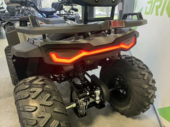 2026 BRP Can-Am DS 250, серебристый, 214990 рублей - вид 8