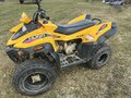 2022 Stels ATV-110, жёлтый, 85000 рублей - вид 1