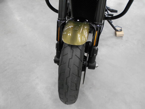 2017 Harley-Davidson Street Rod, зелёный, 610000 рублей - вид 7